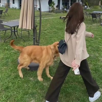 朗读者第二季 在线观看