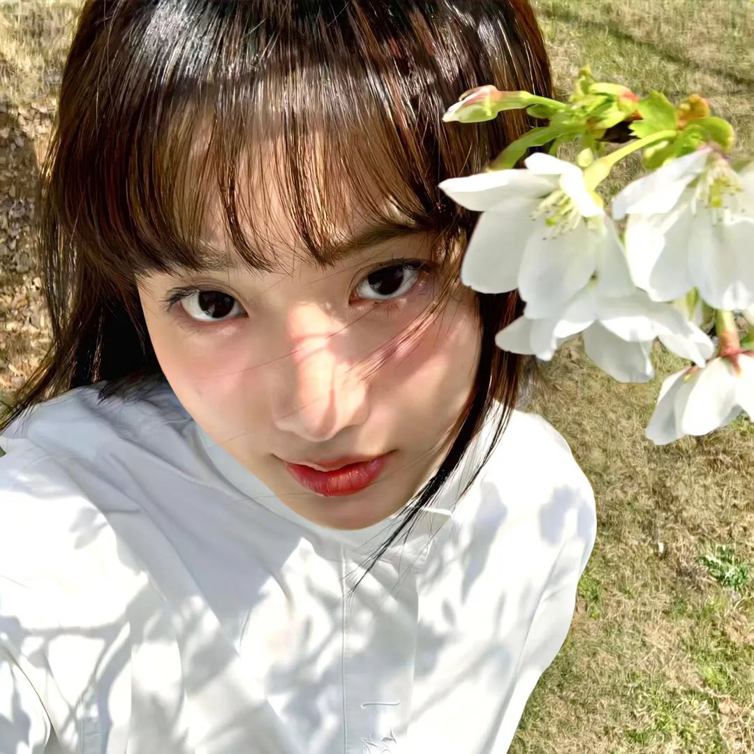 长沙里：被遗忘的英雄们 在线观看